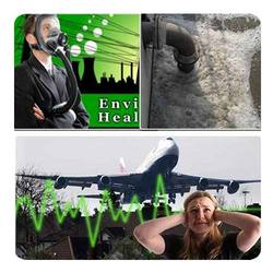 Environmental Pollutant